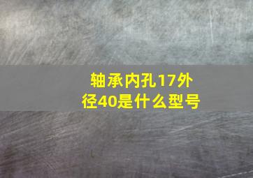 轴承内孔17外径40是什么型号