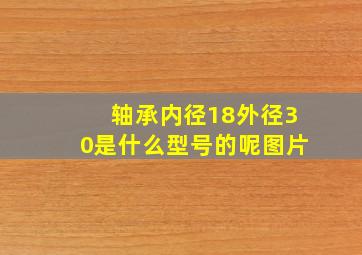 轴承内径18外径30是什么型号的呢图片