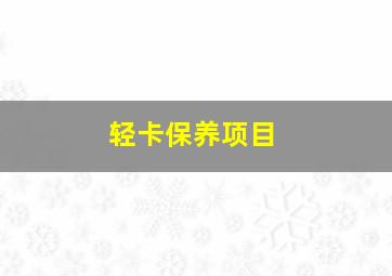 轻卡保养项目