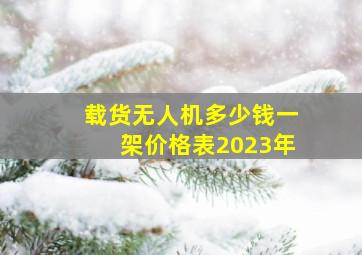 载货无人机多少钱一架价格表2023年