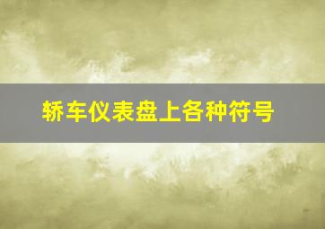 轿车仪表盘上各种符号