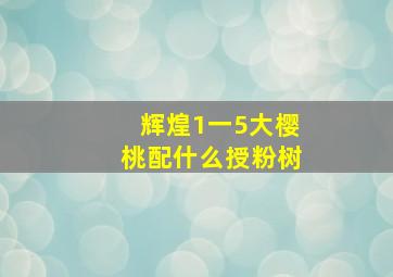 辉煌1一5大樱桃配什么授粉树