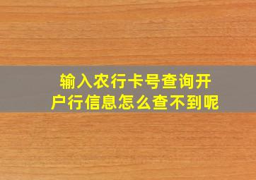 输入农行卡号查询开户行信息怎么查不到呢