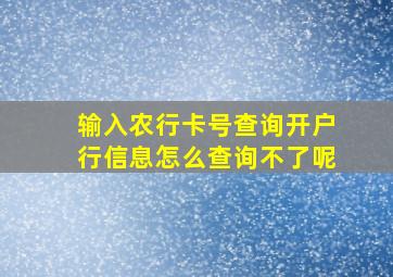 输入农行卡号查询开户行信息怎么查询不了呢