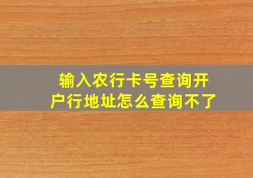 输入农行卡号查询开户行地址怎么查询不了