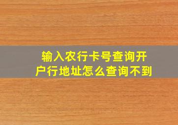 输入农行卡号查询开户行地址怎么查询不到