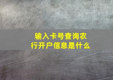 输入卡号查询农行开户信息是什么