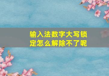 输入法数字大写锁定怎么解除不了呢