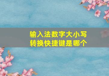 输入法数字大小写转换快捷键是哪个