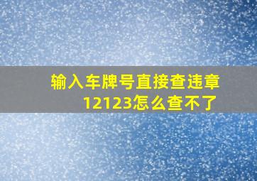 输入车牌号直接查违章12123怎么查不了