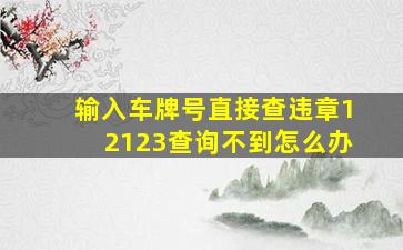 输入车牌号直接查违章12123查询不到怎么办