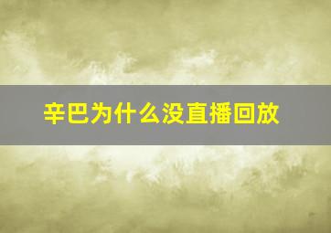 辛巴为什么没直播回放