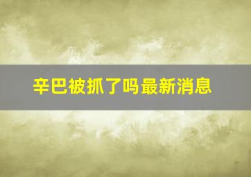 辛巴被抓了吗最新消息