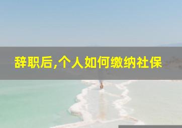 辞职后,个人如何缴纳社保