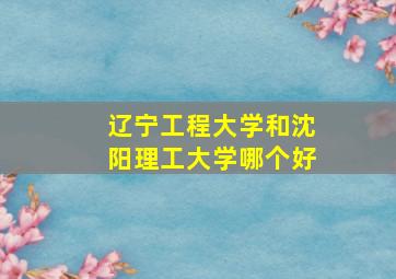 辽宁工程大学和沈阳理工大学哪个好