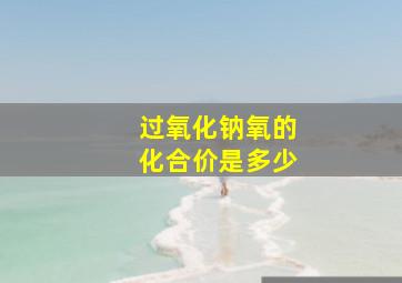 过氧化钠氧的化合价是多少