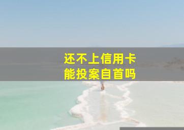 还不上信用卡能投案自首吗