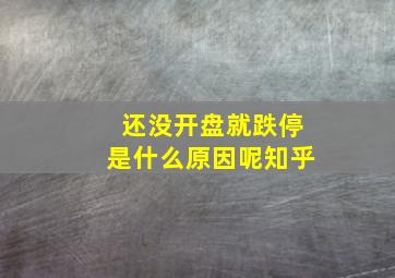 还没开盘就跌停是什么原因呢知乎