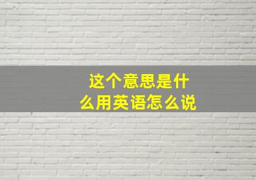 这个意思是什么用英语怎么说