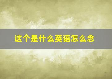 这个是什么英语怎么念