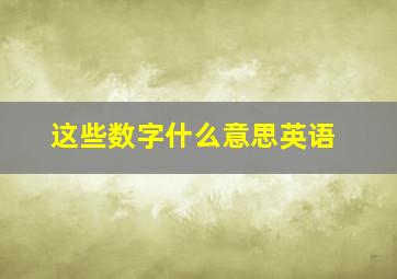 这些数字什么意思英语