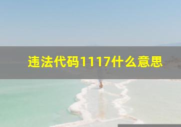 违法代码1117什么意思