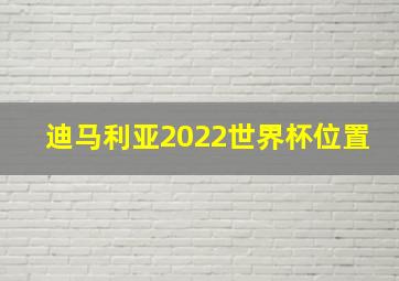 迪马利亚2022世界杯位置