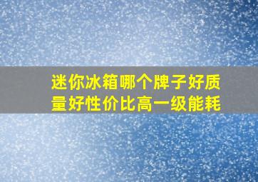 迷你冰箱哪个牌子好质量好性价比高一级能耗