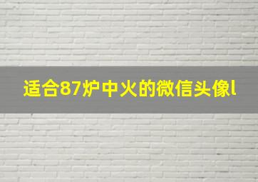 适合87炉中火的微信头像l