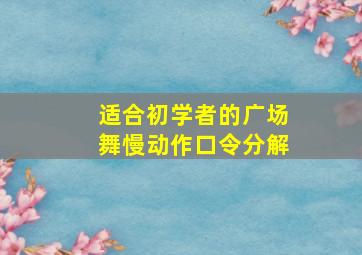 适合初学者的广场舞慢动作口令分解