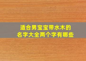 适合男宝宝带水木的名字大全两个字有哪些