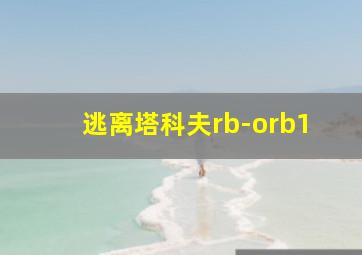 逃离塔科夫rb-orb1