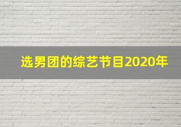 选男团的综艺节目2020年