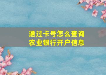 通过卡号怎么查询农业银行开户信息