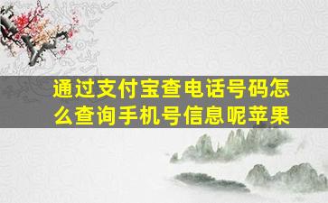 通过支付宝查电话号码怎么查询手机号信息呢苹果