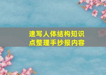 速写人体结构知识点整理手抄报内容