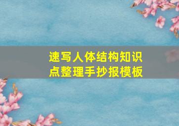 速写人体结构知识点整理手抄报模板