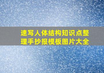 速写人体结构知识点整理手抄报模板图片大全