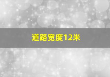 道路宽度12米