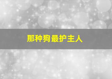 那种狗最护主人