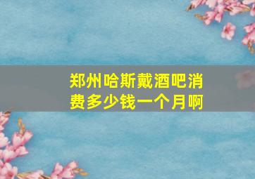 郑州哈斯戴酒吧消费多少钱一个月啊