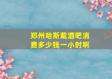 郑州哈斯戴酒吧消费多少钱一小时啊