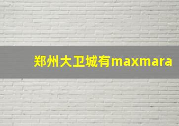 郑州大卫城有maxmara