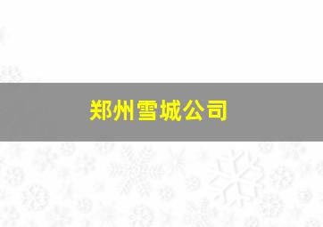 郑州雪城公司