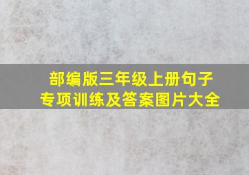 部编版三年级上册句子专项训练及答案图片大全