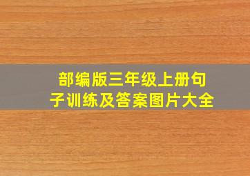 部编版三年级上册句子训练及答案图片大全