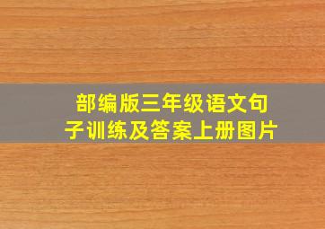 部编版三年级语文句子训练及答案上册图片