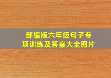 部编版六年级句子专项训练及答案大全图片