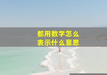 都用数字怎么表示什么意思