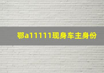 鄂a11111现身车主身份